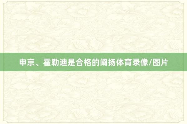 申京、霍勒迪是合格的阐扬体育录像/图片