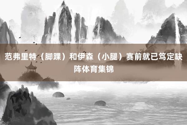 范弗里特（脚踝）和伊森（小腿）赛前就已笃定缺阵体育集锦