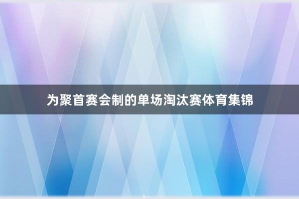 为聚首赛会制的单场淘汰赛体育集锦