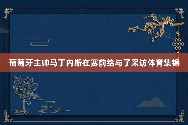 葡萄牙主帅马丁内斯在赛前给与了采访体育集锦