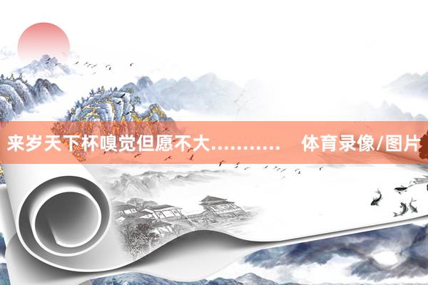 来岁天下杯嗅觉但愿不大...........    体育录像/图片