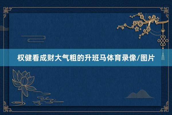 权健看成财大气粗的升班马体育录像/图片