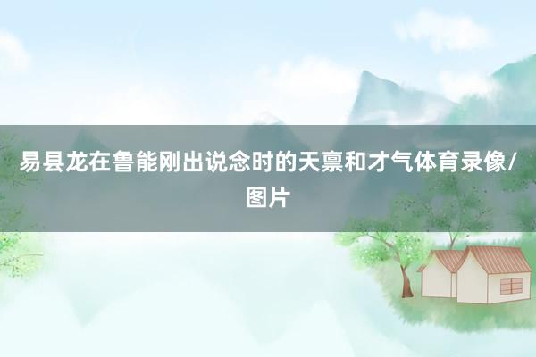 易县龙在鲁能刚出说念时的天禀和才气体育录像/图片