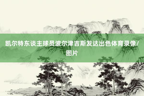 凯尔特东谈主球员波尔津吉斯发达出色体育录像/图片