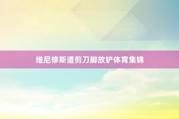 维尼修斯遭剪刀脚放铲体育集锦