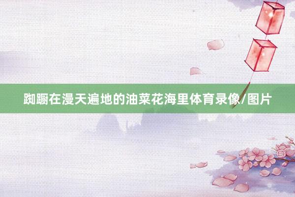 踟蹰在漫天遍地的油菜花海里体育录像/图片
