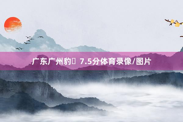 广东广州豹☞7.5分体育录像/图片