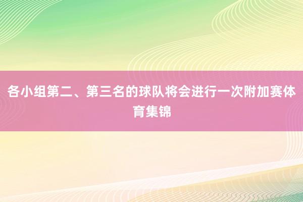 各小组第二、第三名的球队将会进行一次附加赛体育集锦