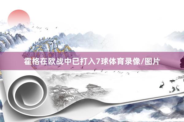 霍格在欧战中已打入7球体育录像/图片