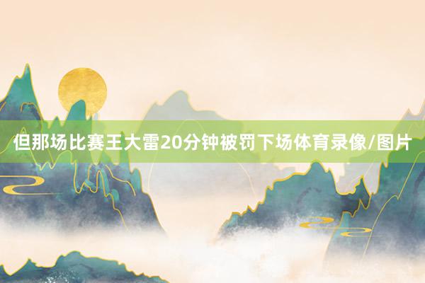 但那场比赛王大雷20分钟被罚下场体育录像/图片