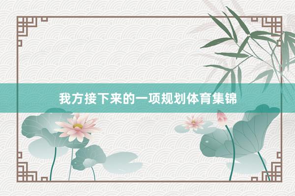 我方接下来的一项规划体育集锦