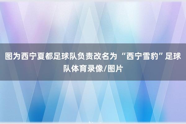 图为西宁夏都足球队负责改名为 “西宁雪豹”足球队体育录像/图片