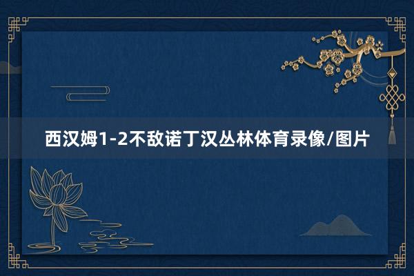 西汉姆1-2不敌诺丁汉丛林体育录像/图片