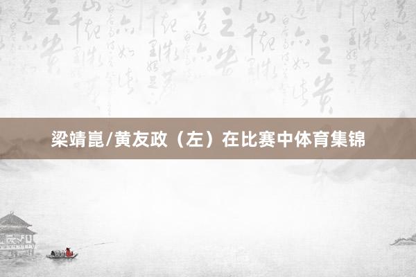 梁靖崑/黄友政（左）在比赛中体育集锦
