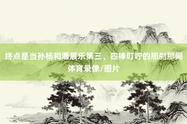 终点是当孙杨和潘展乐第三、四棒叮咛的那刹那间体育录像/图片
