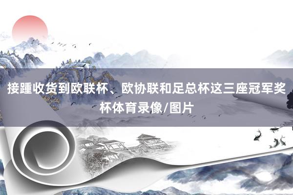 接踵收货到欧联杯、欧协联和足总杯这三座冠军奖杯体育录像/图片