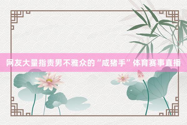 网友大量指责男不雅众的“咸猪手”体育赛事直播