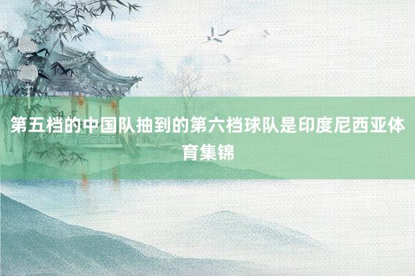 第五档的中国队抽到的第六档球队是印度尼西亚体育集锦