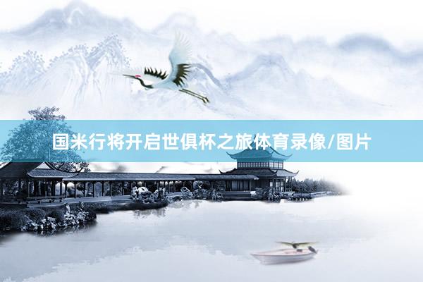 国米行将开启世俱杯之旅体育录像/图片