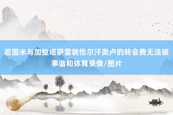 若国米与加拉塔萨雷就恰尔汗奥卢的转会费无法竣事谐和体育录像/图片