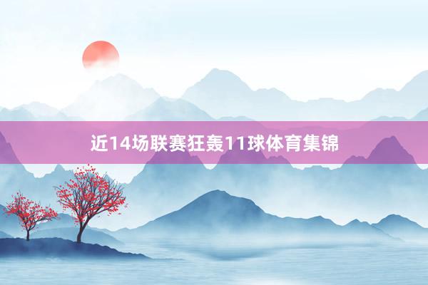近14场联赛狂轰11球体育集锦