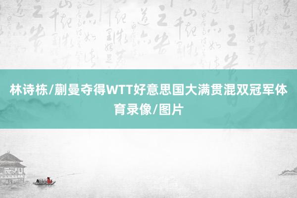 林诗栋/蒯曼夺得WTT好意思国大满贯混双冠军体育录像/图片