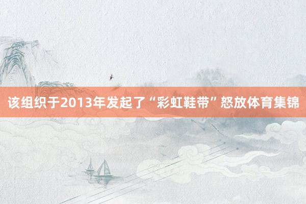 该组织于2013年发起了“彩虹鞋带”怒放体育集锦