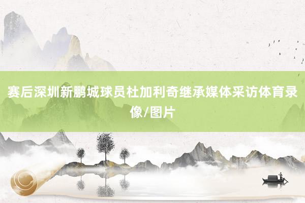 赛后深圳新鹏城球员杜加利奇继承媒体采访体育录像/图片