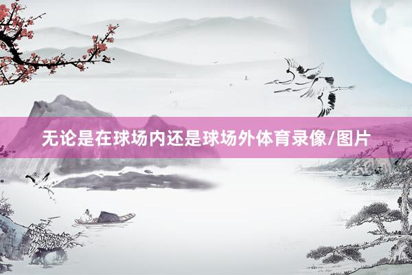 无论是在球场内还是球场外体育录像/图片