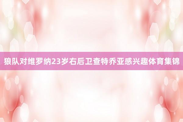 狼队对维罗纳23岁右后卫查特乔亚感兴趣体育集锦