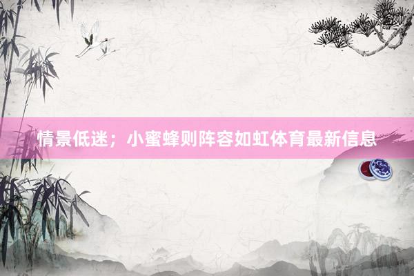 情景低迷；小蜜蜂则阵容如虹体育最新信息