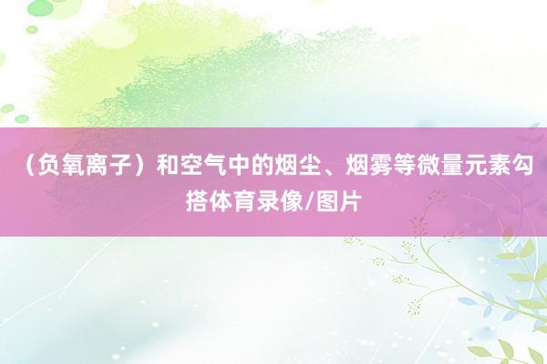 （负氧离子）和空气中的烟尘、烟雾等微量元素勾搭体育录像/图片