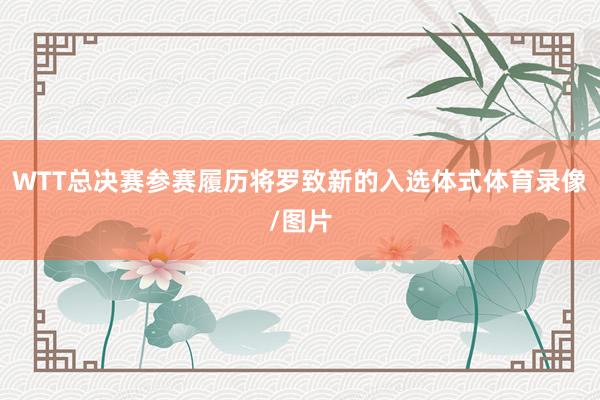 WTT总决赛参赛履历将罗致新的入选体式体育录像/图片