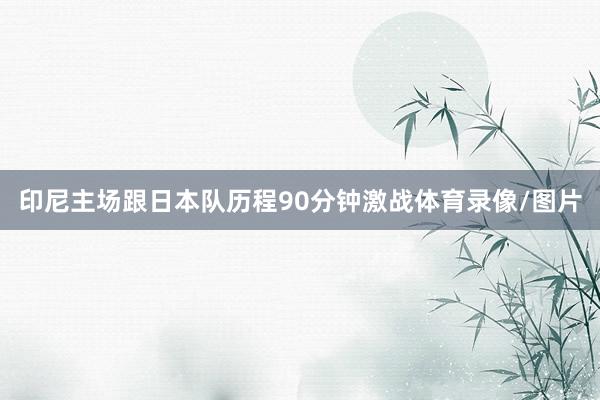 印尼主场跟日本队历程90分钟激战体育录像/图片