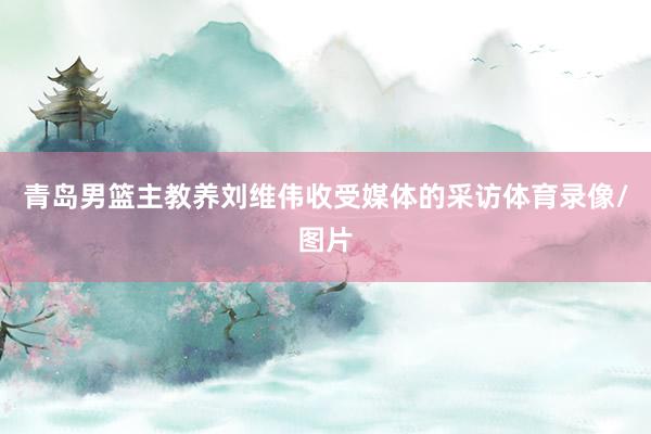 青岛男篮主教养刘维伟收受媒体的采访体育录像/图片