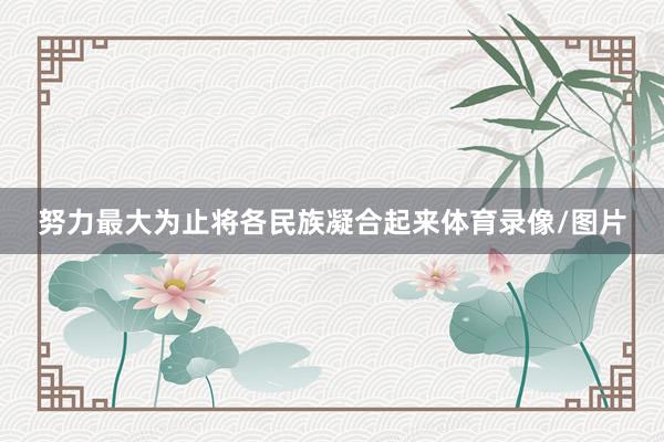 努力最大为止将各民族凝合起来体育录像/图片