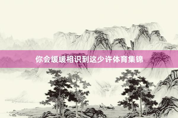 你会缓缓相识到这少许体育集锦