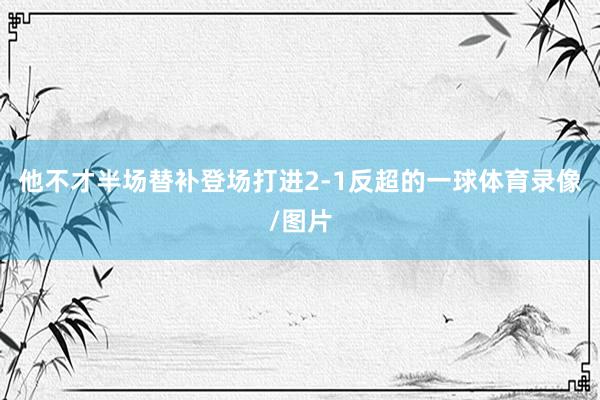 他不才半场替补登场打进2-1反超的一球体育录像/图片