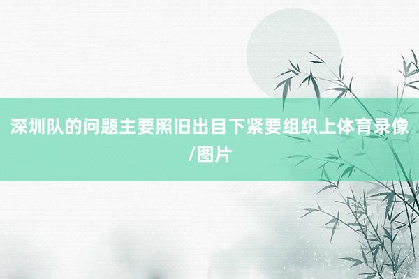 深圳队的问题主要照旧出目下紧要组织上体育录像/图片
