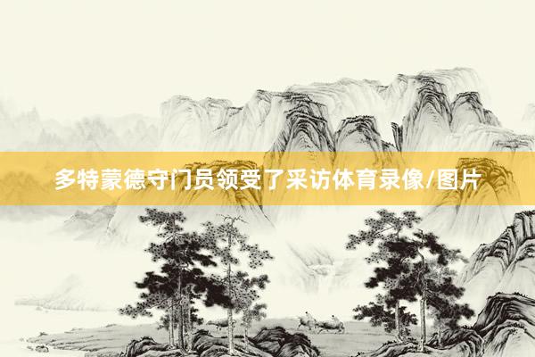 多特蒙德守门员领受了采访体育录像/图片