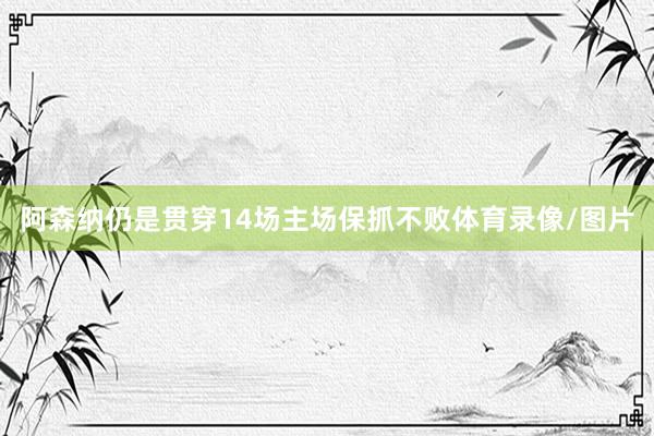 阿森纳仍是贯穿14场主场保抓不败体育录像/图片