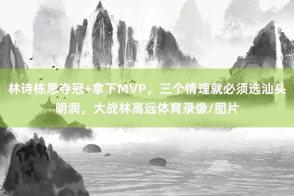 林诗栋思夺冠+拿下MVP，三个情理就必须选汕头明润，大战林高远体育录像/图片
