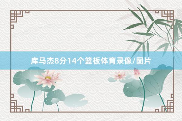 库马杰8分14个篮板体育录像/图片