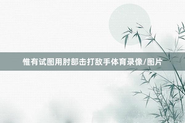 惟有试图用肘部击打敌手体育录像/图片