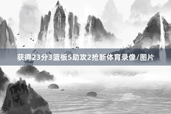 获得23分3篮板5助攻2抢断体育录像/图片