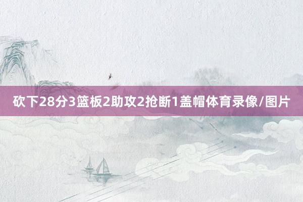 砍下28分3篮板2助攻2抢断1盖帽体育录像/图片