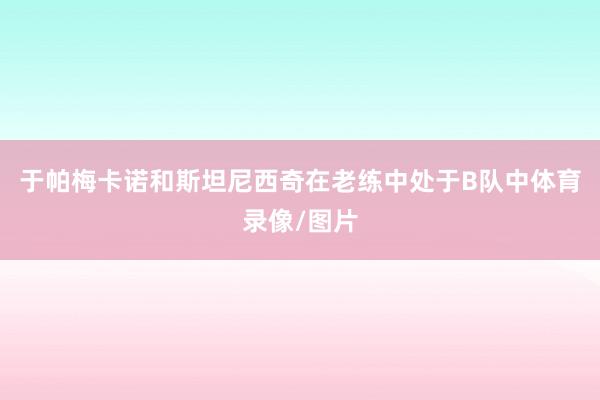 于帕梅卡诺和斯坦尼西奇在老练中处于B队中体育录像/图片