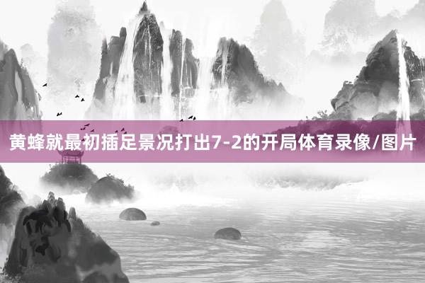 黄蜂就最初插足景况打出7-2的开局体育录像/图片