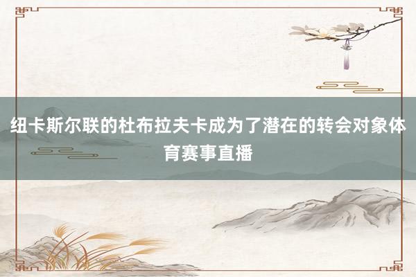 纽卡斯尔联的杜布拉夫卡成为了潜在的转会对象体育赛事直播