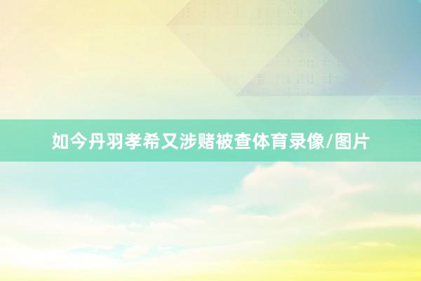 如今丹羽孝希又涉赌被查体育录像/图片